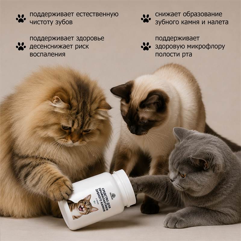 4cb834f5-7b58-11f1-84bd-00d8617040a4_10