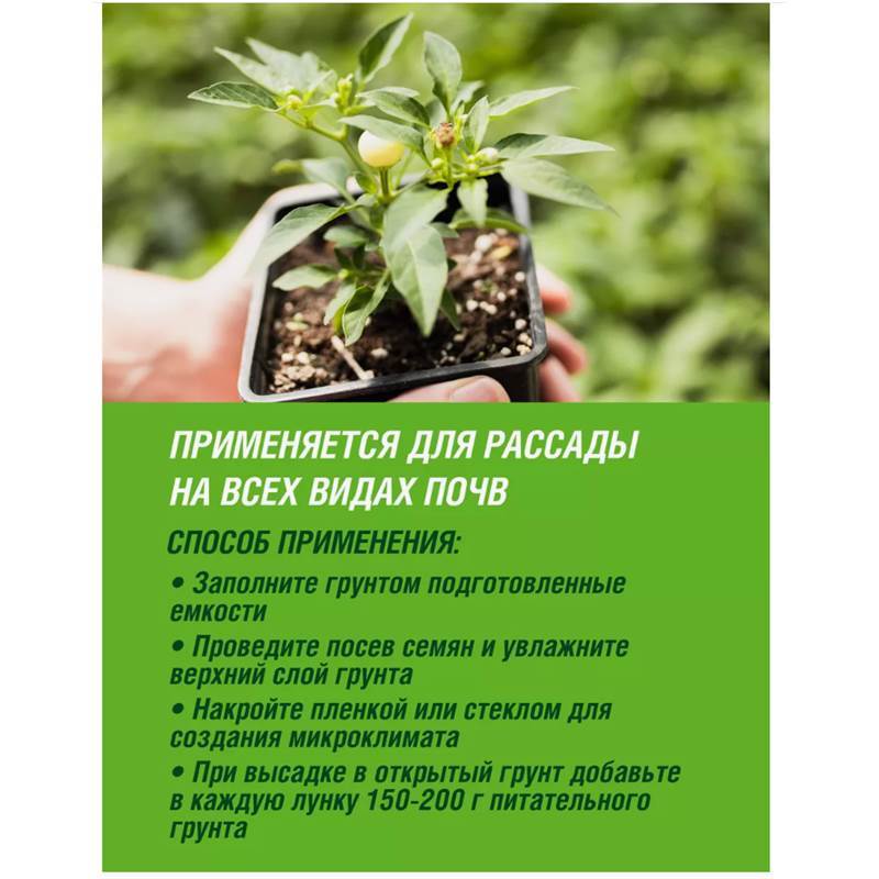 Снимок экрана 2025-04-11 125411