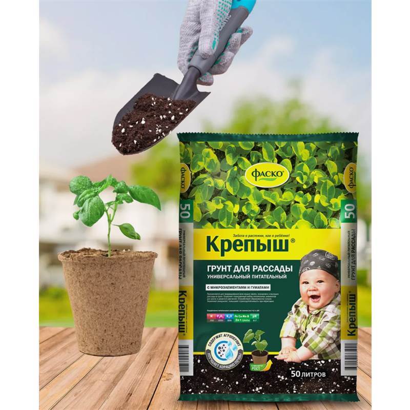 Снимок экрана 2025-04-11 125425