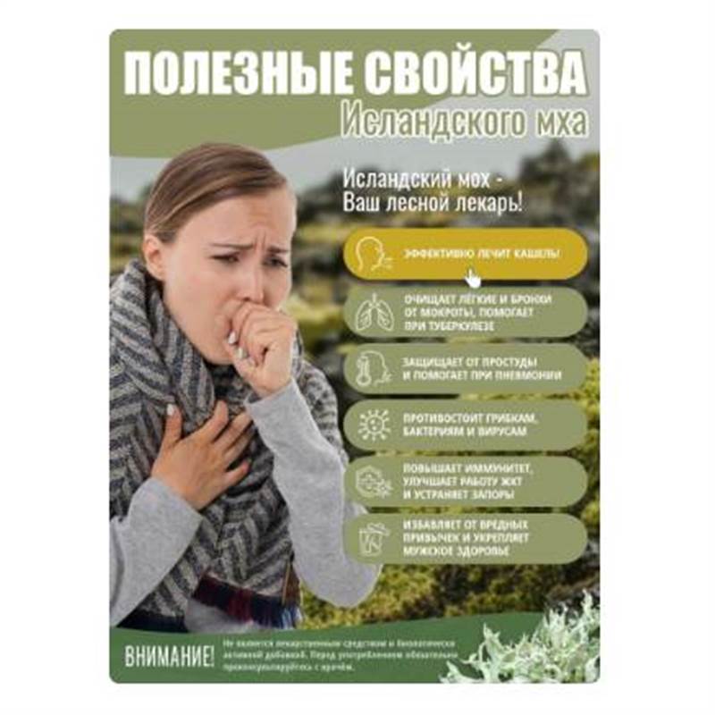 Снимок экрана 2025-06-18 012910