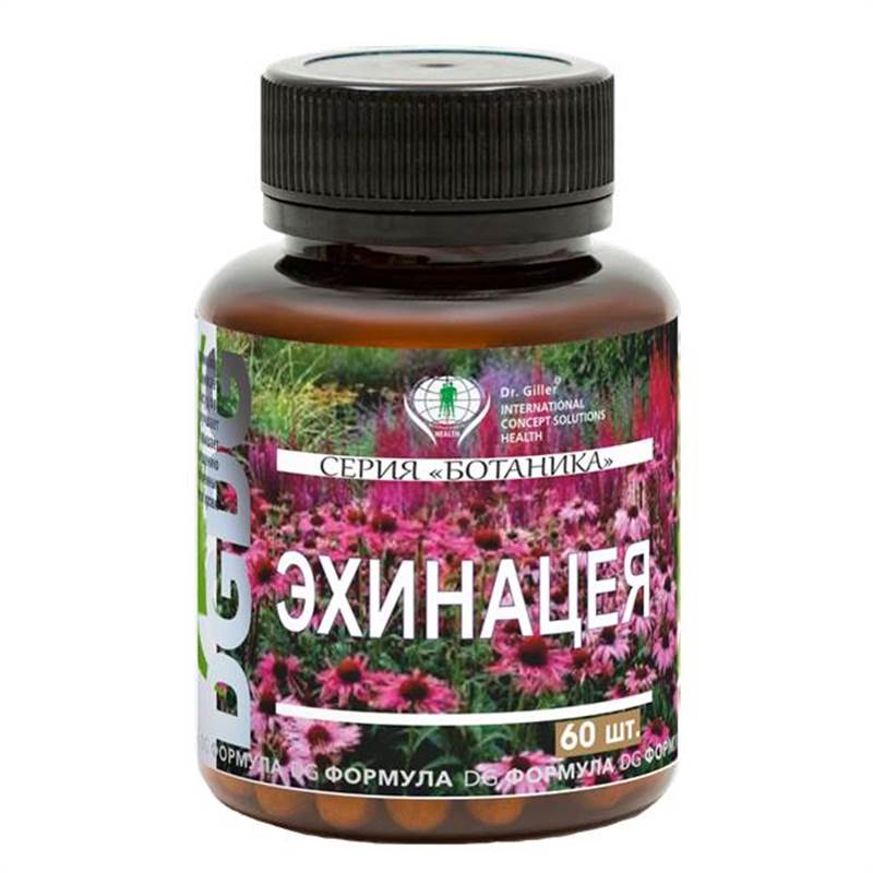 Ботаника Эхинацея - 1