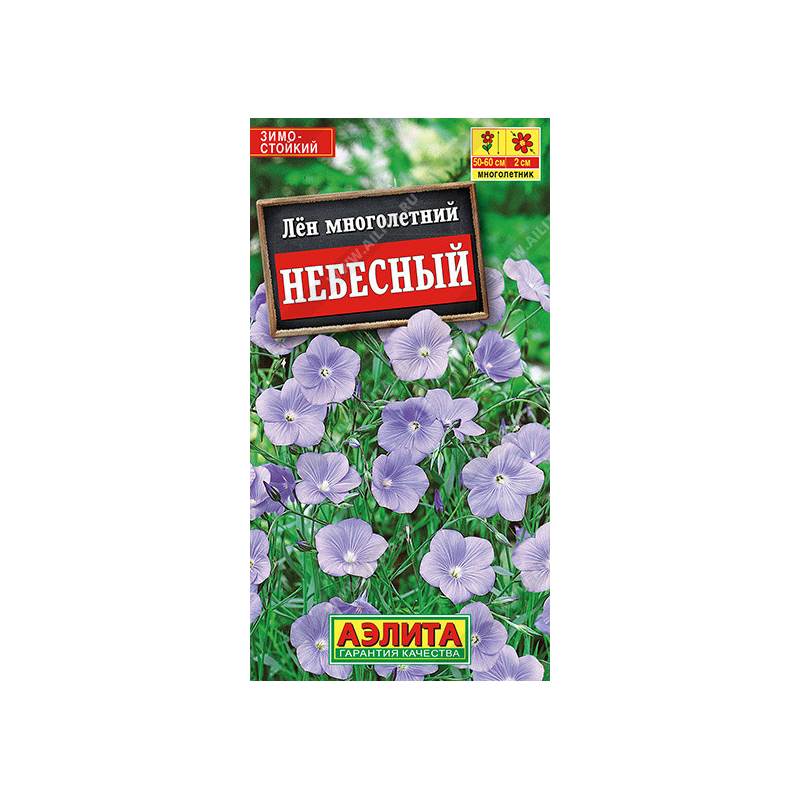 49428_1_B201E75E-94CF-4EE3-B1E4-EC9A1A812D62