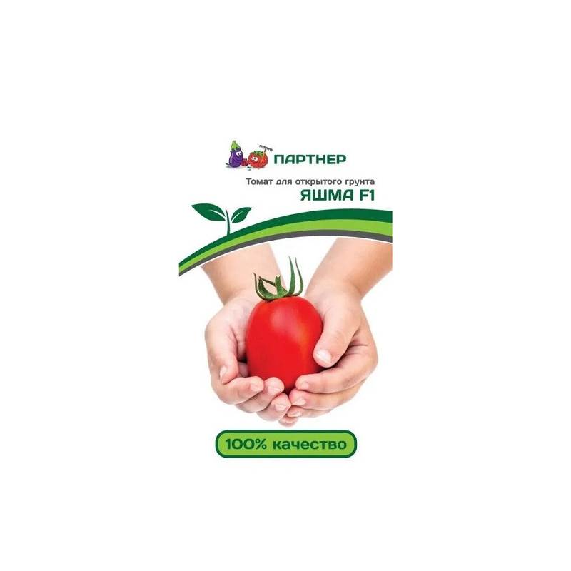 50553_1_66034D15-0916-43A6-8A3B-E8FE6DB85EF6