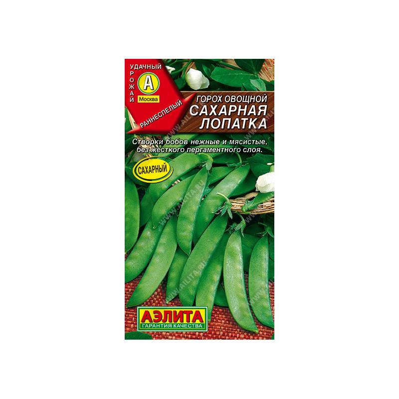 48070_1_08CD4A38-68F5-4E59-9BE6-12A6E8AC6B62