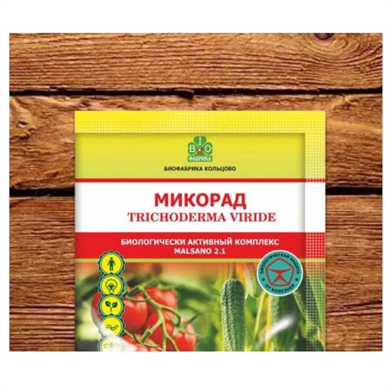 Снимок экрана 2025-04-15 105659