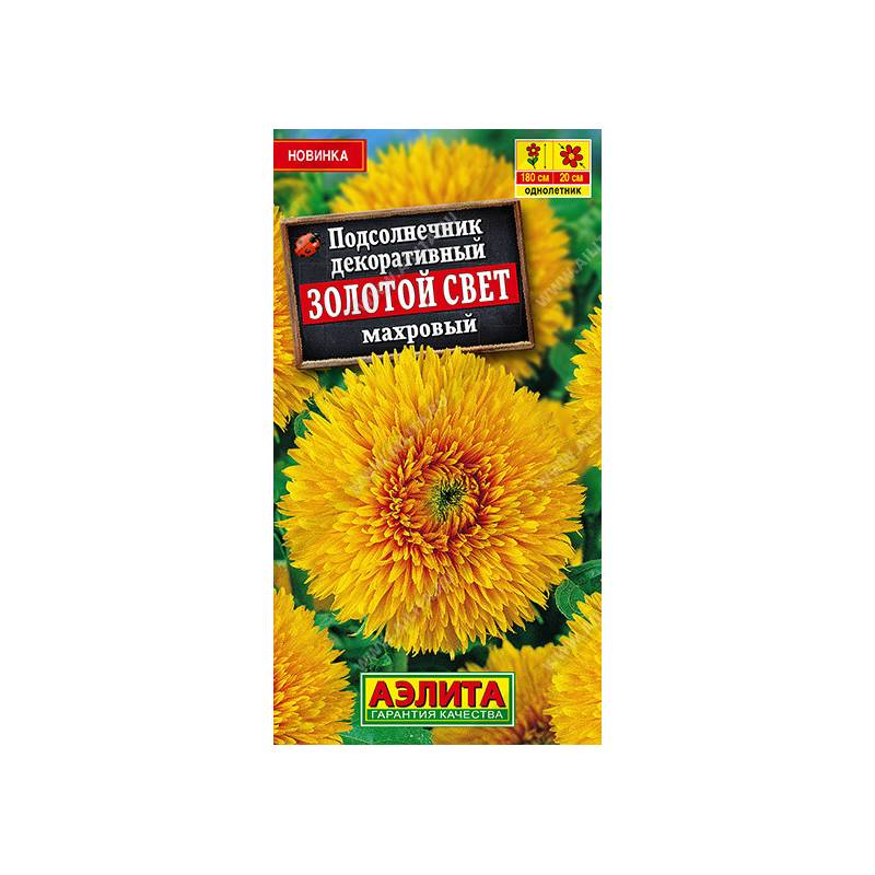 49617_1_915A3584-616E-4667-9A76-F46C1927EDB2