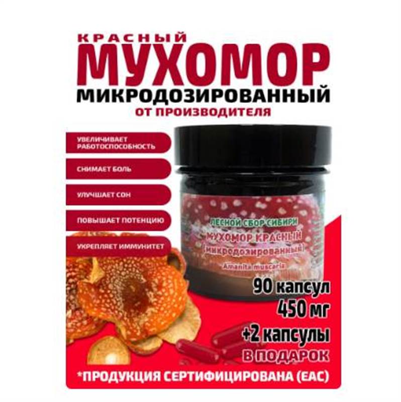 Снимок экрана 2025-06-18 011154