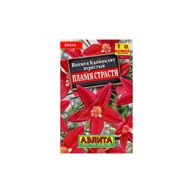 48912_1_3D85987F-5EB1-4B01-A4CC-5796BA0032CB