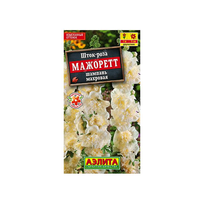 49804_1_28953D27-6F16-4BF3-ADE0-5FCBE5B9F4CE