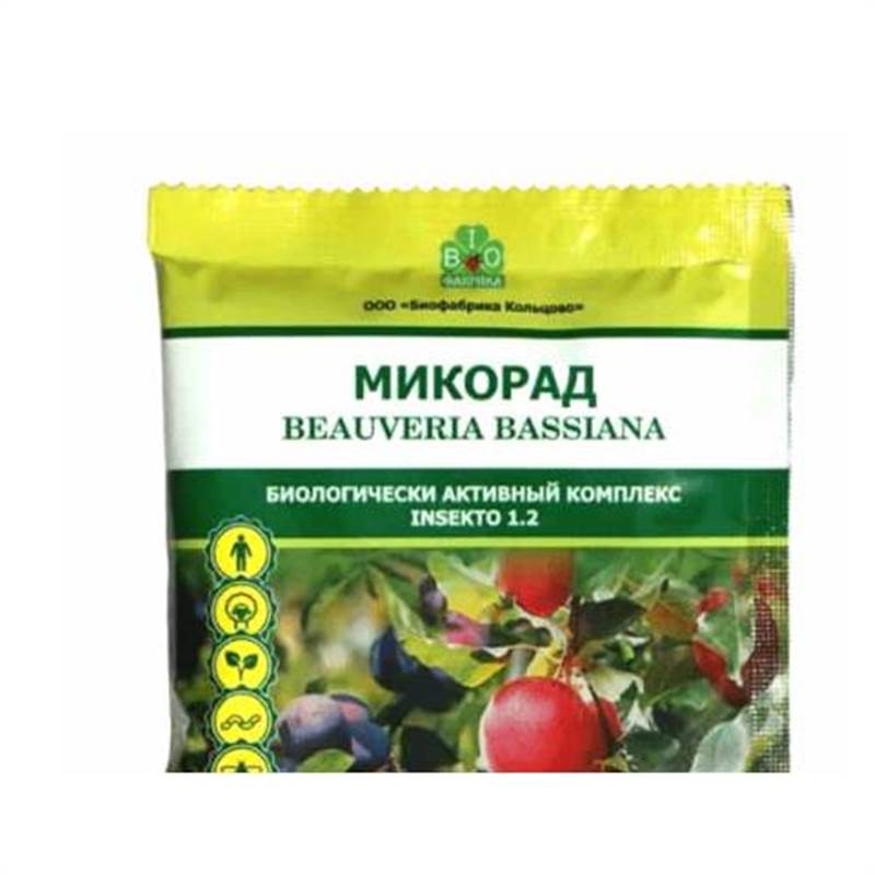 Снимок экрана 2025-04-15 110707