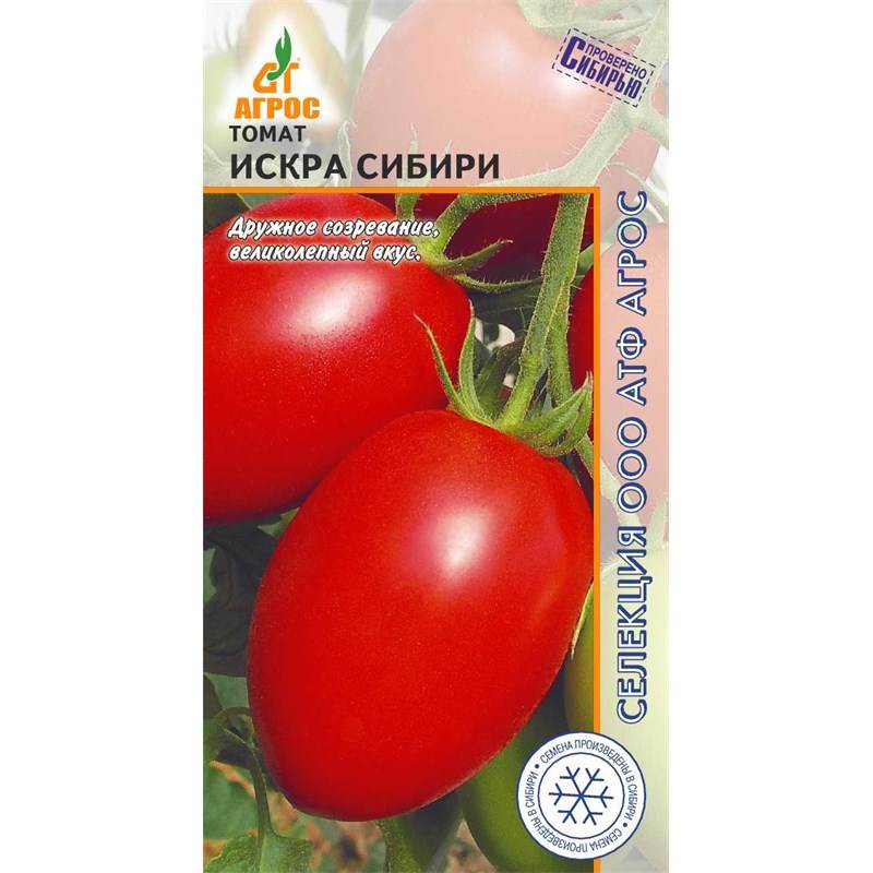 Томат ИСКРА СИБИРИ-st