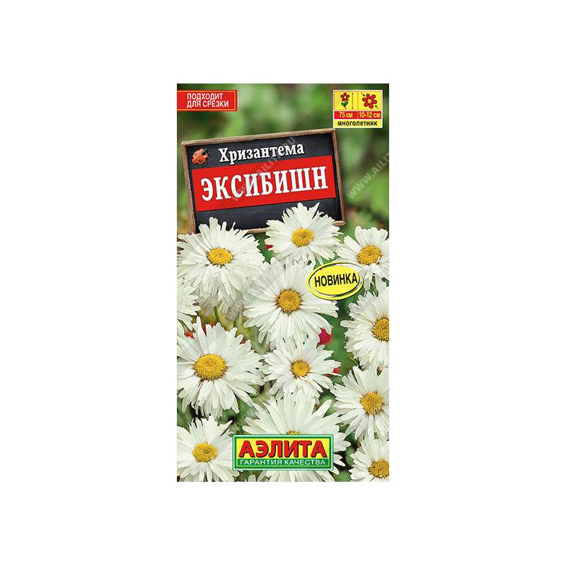 49723_1_C1E3804F-0AB8-47A5-A0DD-224376A49733