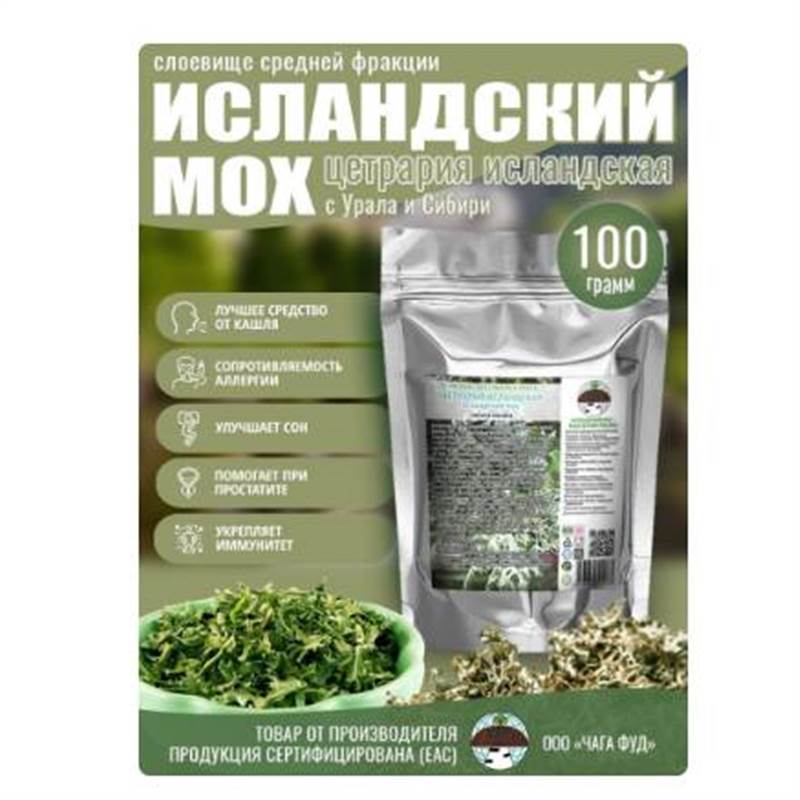 Снимок экрана 2025-06-18 012906