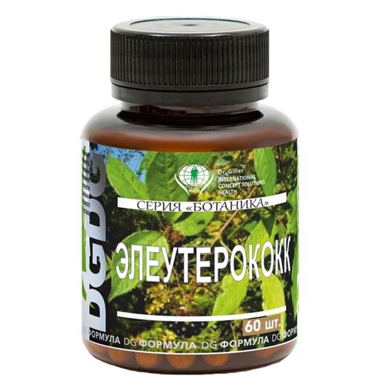 Ботаника Элеутерококк - 1
