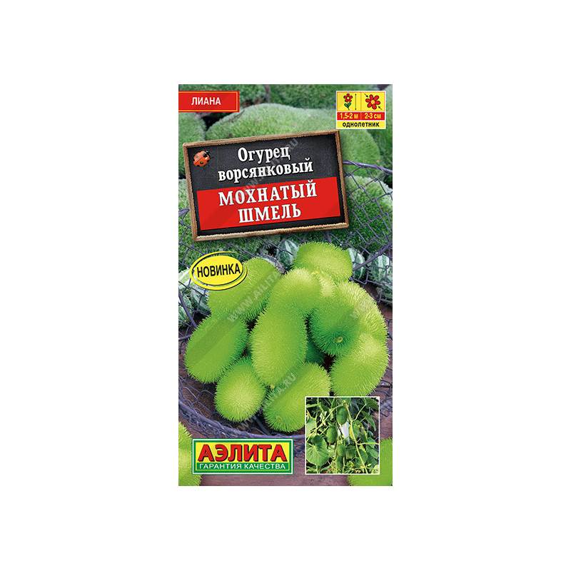 48470_1_B9869BD6-501B-4F64-81FF-0329E779A39C