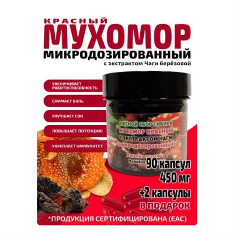 Снимок экрана 2025-06-18 011327