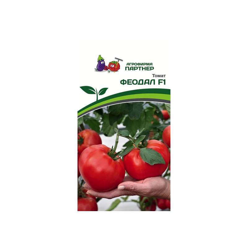 50532_1_076ACE59-DAB0-4B12-B2AA-DB220705F280