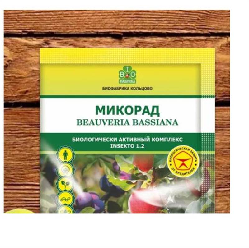 Снимок экрана 2025-04-15 110051