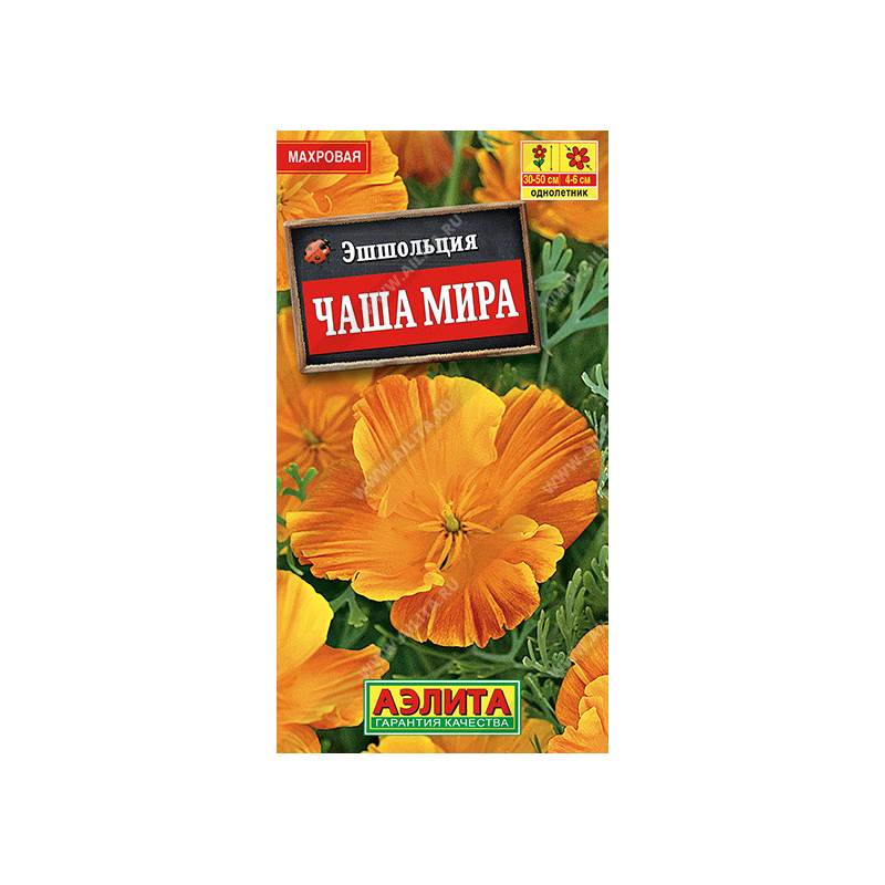 49832_1_53666845-BC4A-4ABD-A7D4-877BD5DA7A60