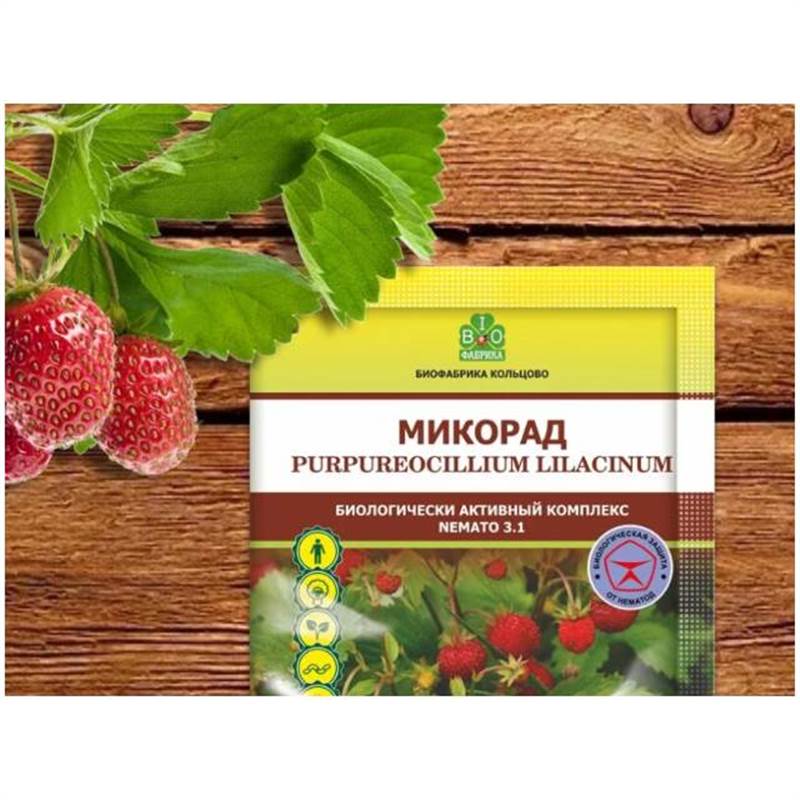 Снимок экрана 2025-04-15 105511