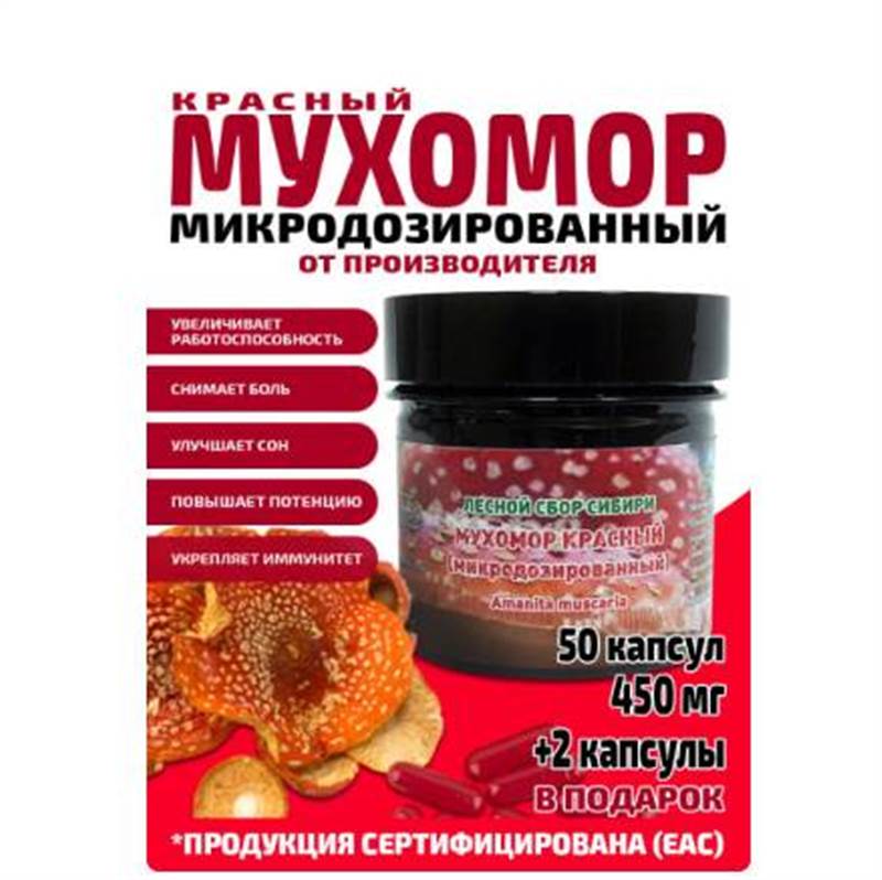 Снимок экрана 2025-06-18 011019