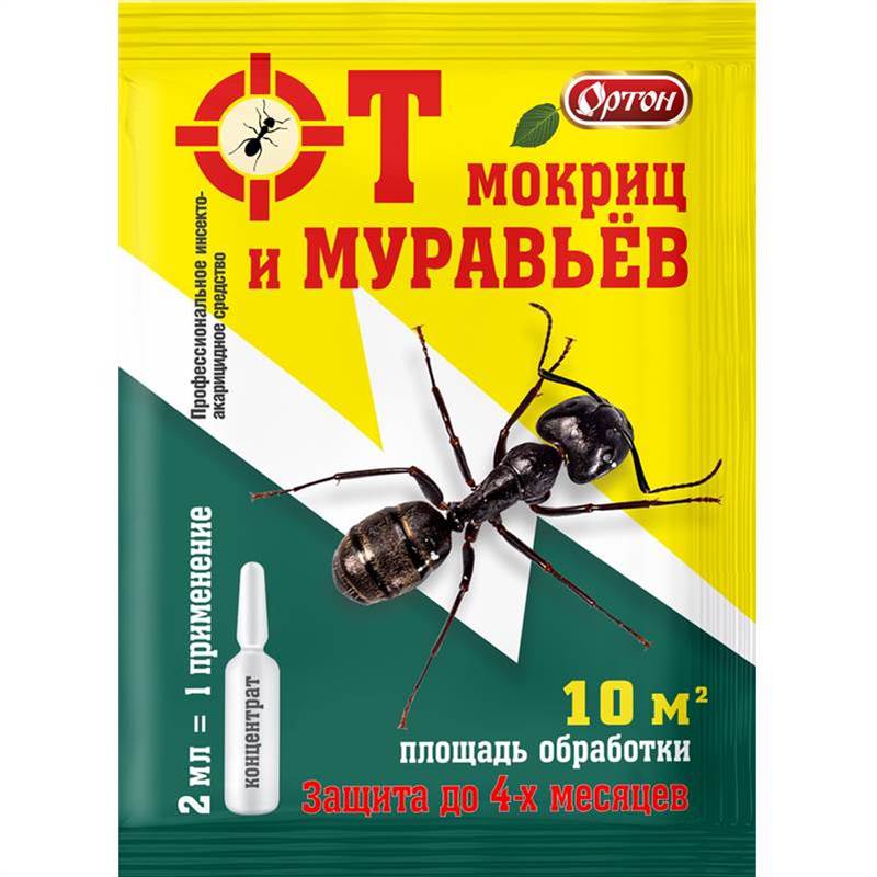 ОТ мурав мок-