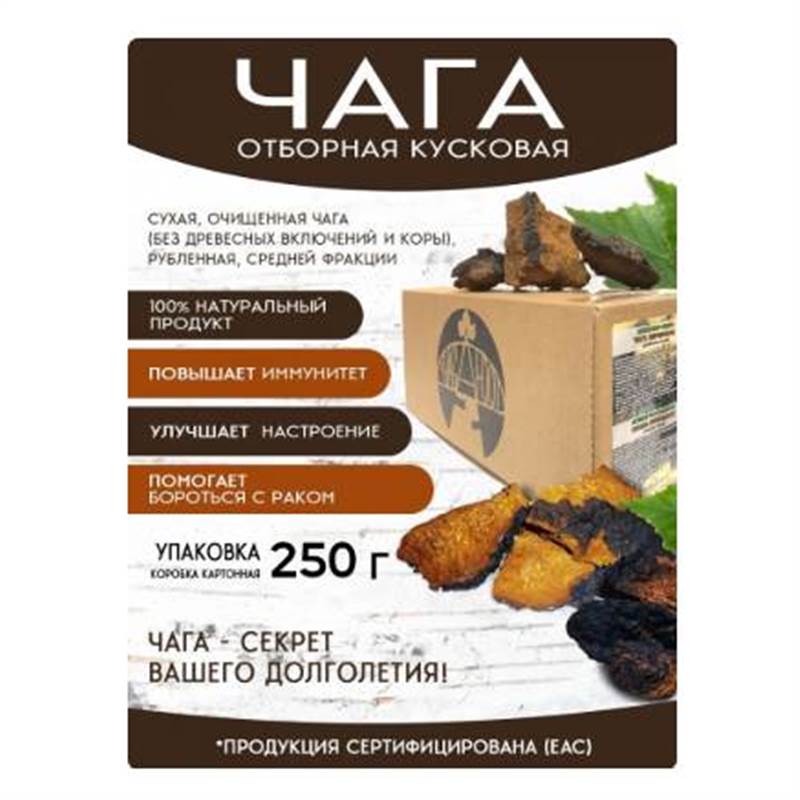 Снимок экрана 2025-06-18 010547