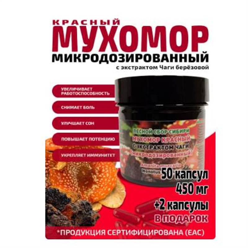 Снимок экрана 2025-06-18 011242