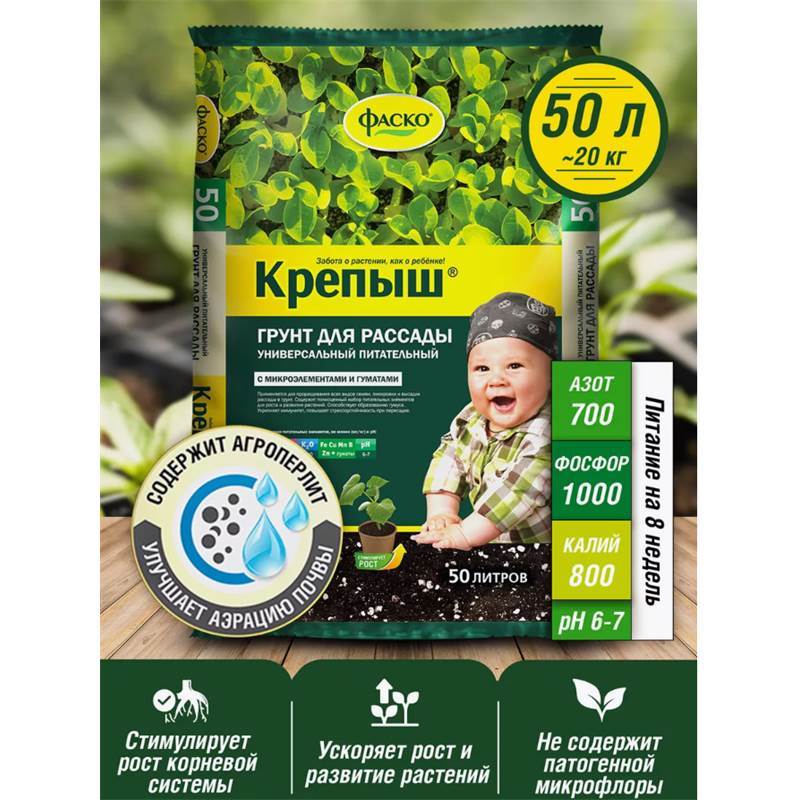 Снимок экрана 2025-04-11 125401