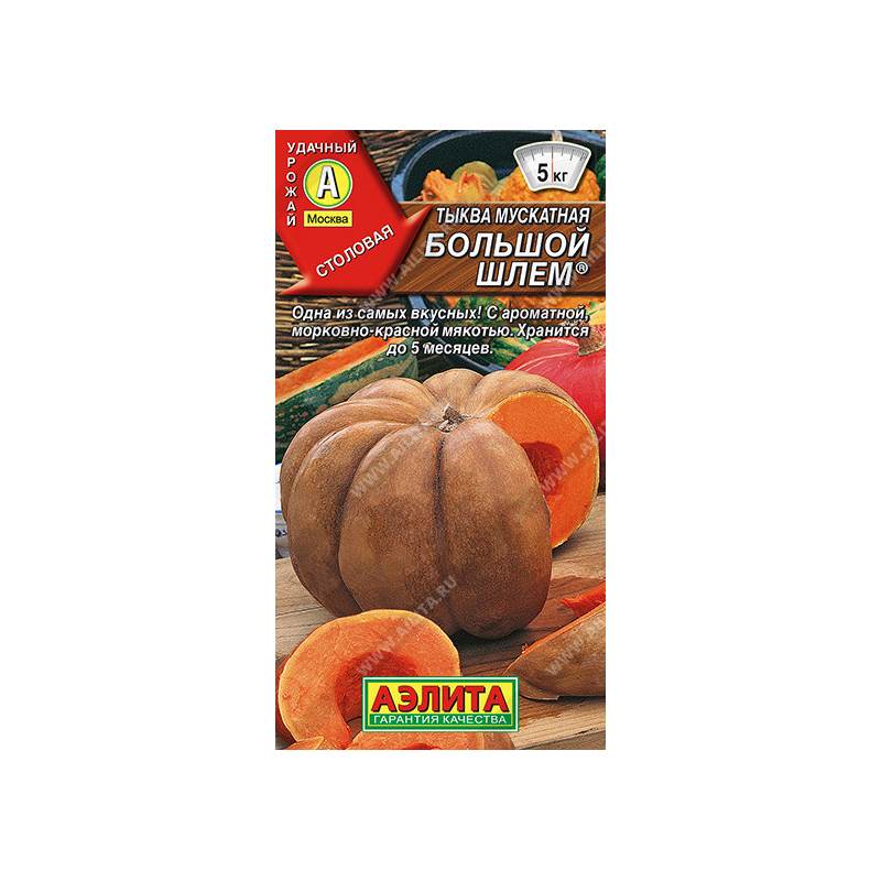 48815_1_8D09BC39-65F4-46CB-992A-1AF1B9B37190