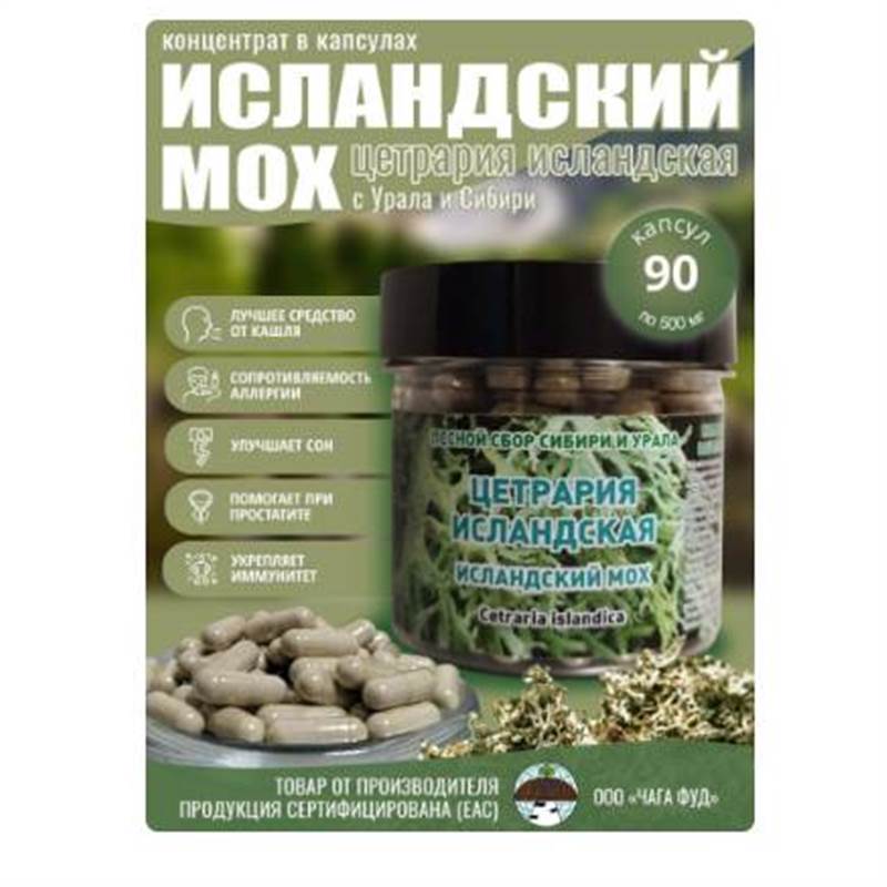 Снимок экрана 2025-06-18 013022
