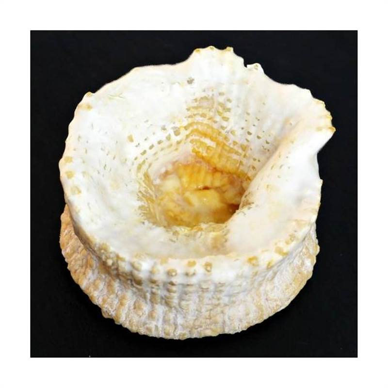 UJDxqMSxrupQq-mrx_Yi7EQ5CUHFnkAECb4vaHbAyGQjfZR2xdPMhYBp7pr8qG_DUlSeegpUmzOK4zOGVRmkjwPp