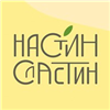 Настин Сластин