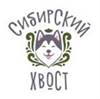 Сибирский хвост